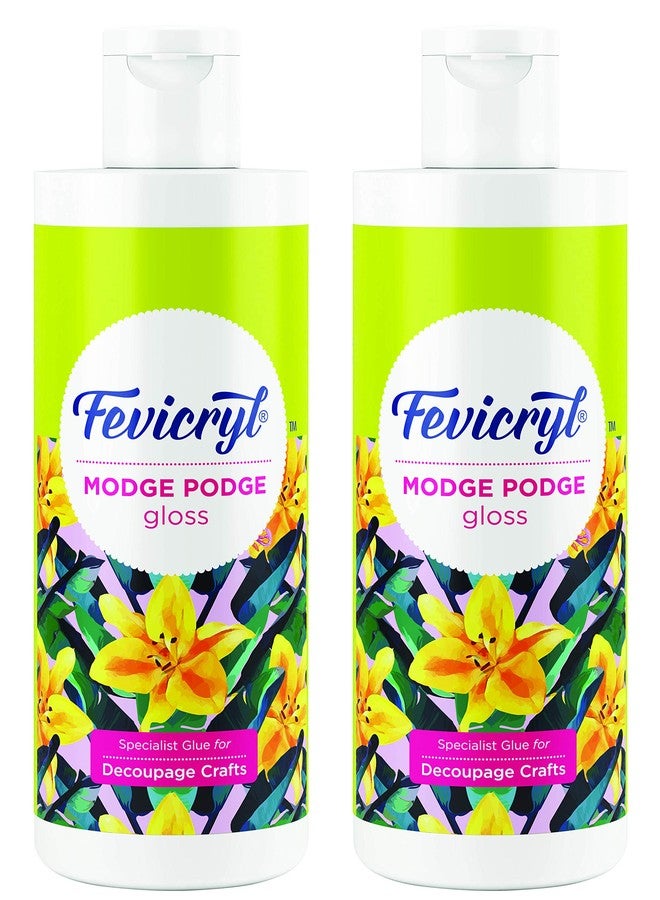 Pidilite Fevicryl Modge Podge Gloss, 120ml, Pack of 2 | Multi-substrate including wood, glass, MDF, fabrics, metals | DIY, Art & Craft | Easy to use - Image 1